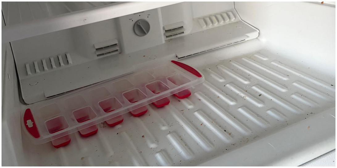 Freezer before